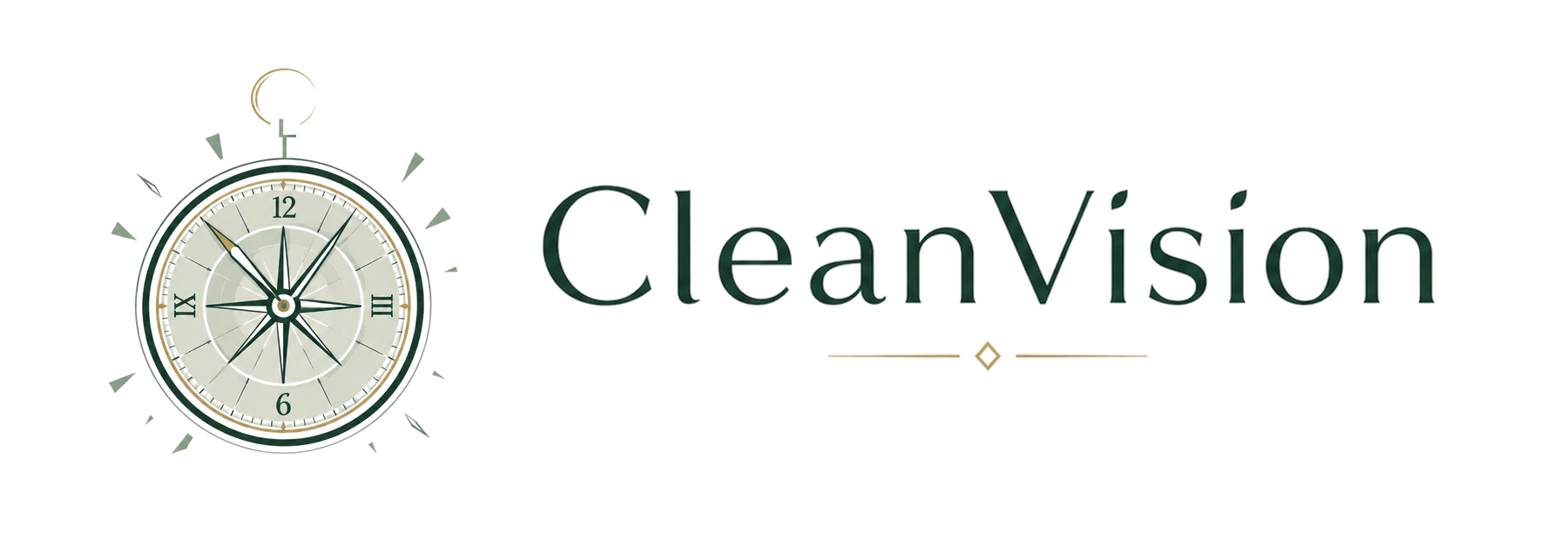 CleanVision
